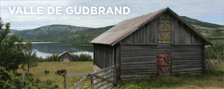 DÍA 6 ÅLESUND • TROLLSTIGEN • VALLE DE GUDBRAN